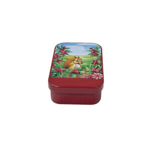 Factory OEM food grade rectangular breath mint candy capsule packaging box with hinged lid